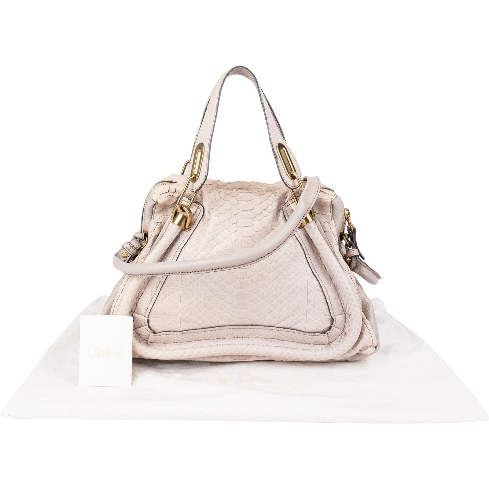 Chloé – Paraty Shoulder Bag aus Pythonleder