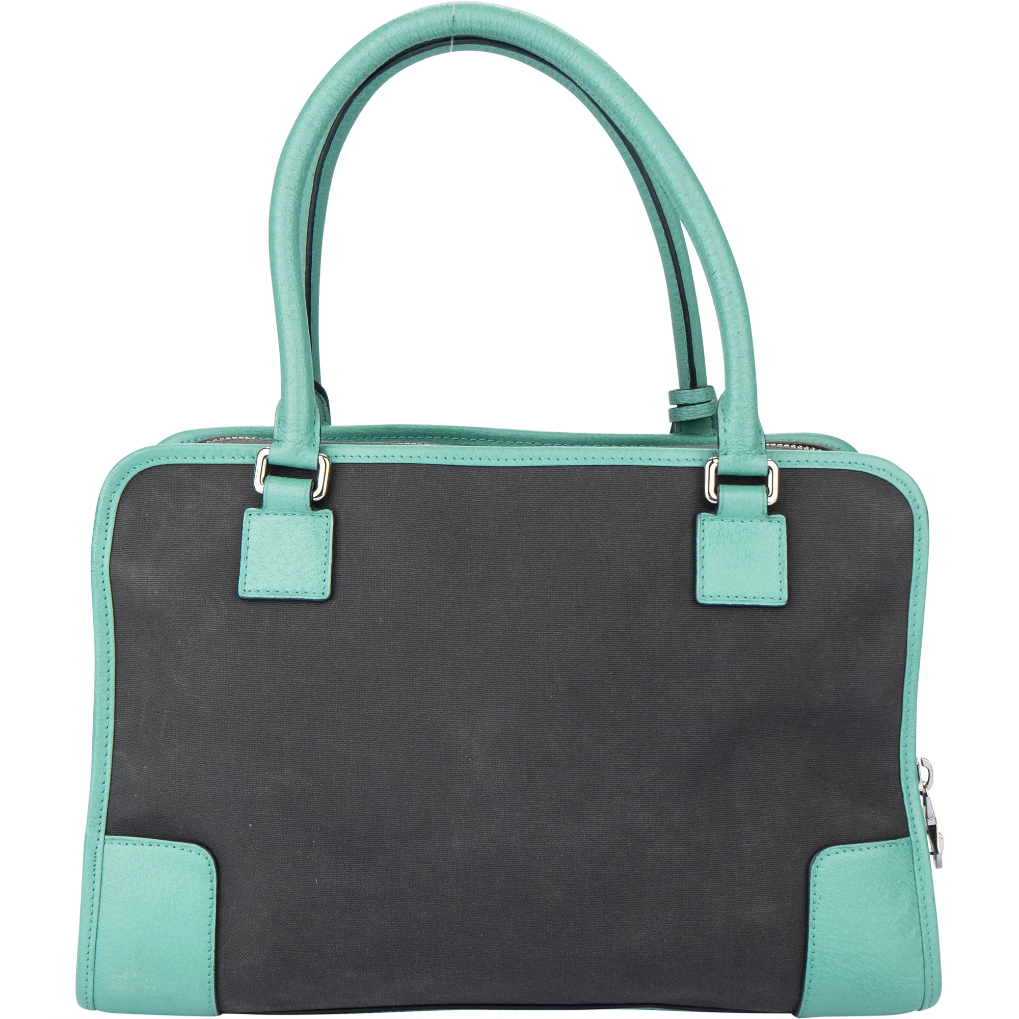 Loewe Bicolor Amazona Handbag