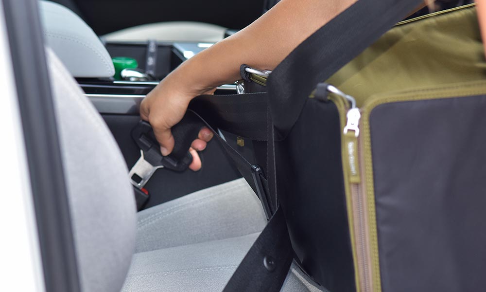 Autotransporter für Hunde mit Sicherheitssystem