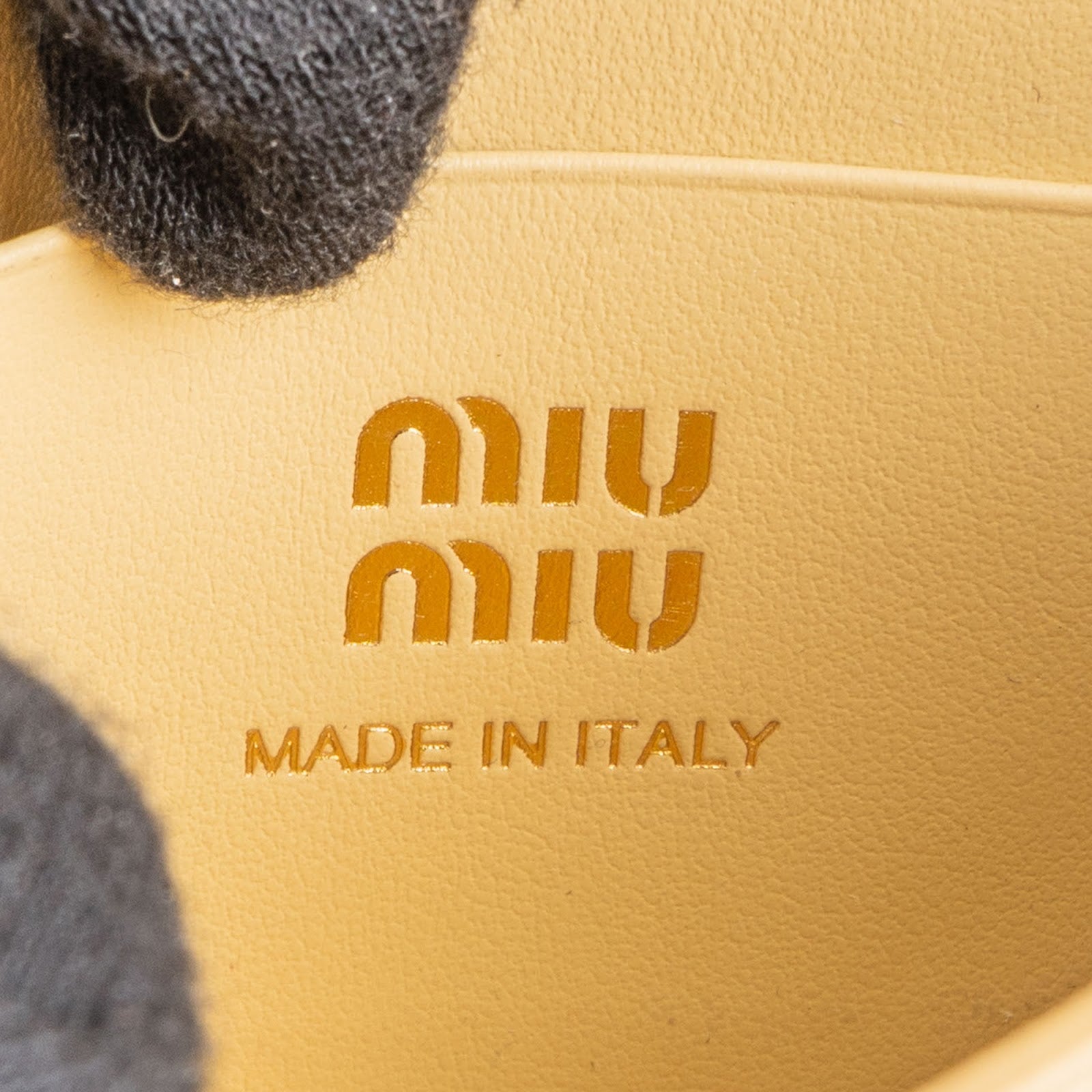 Miu Miu Soft Calf Leather Mini Wallet Bag