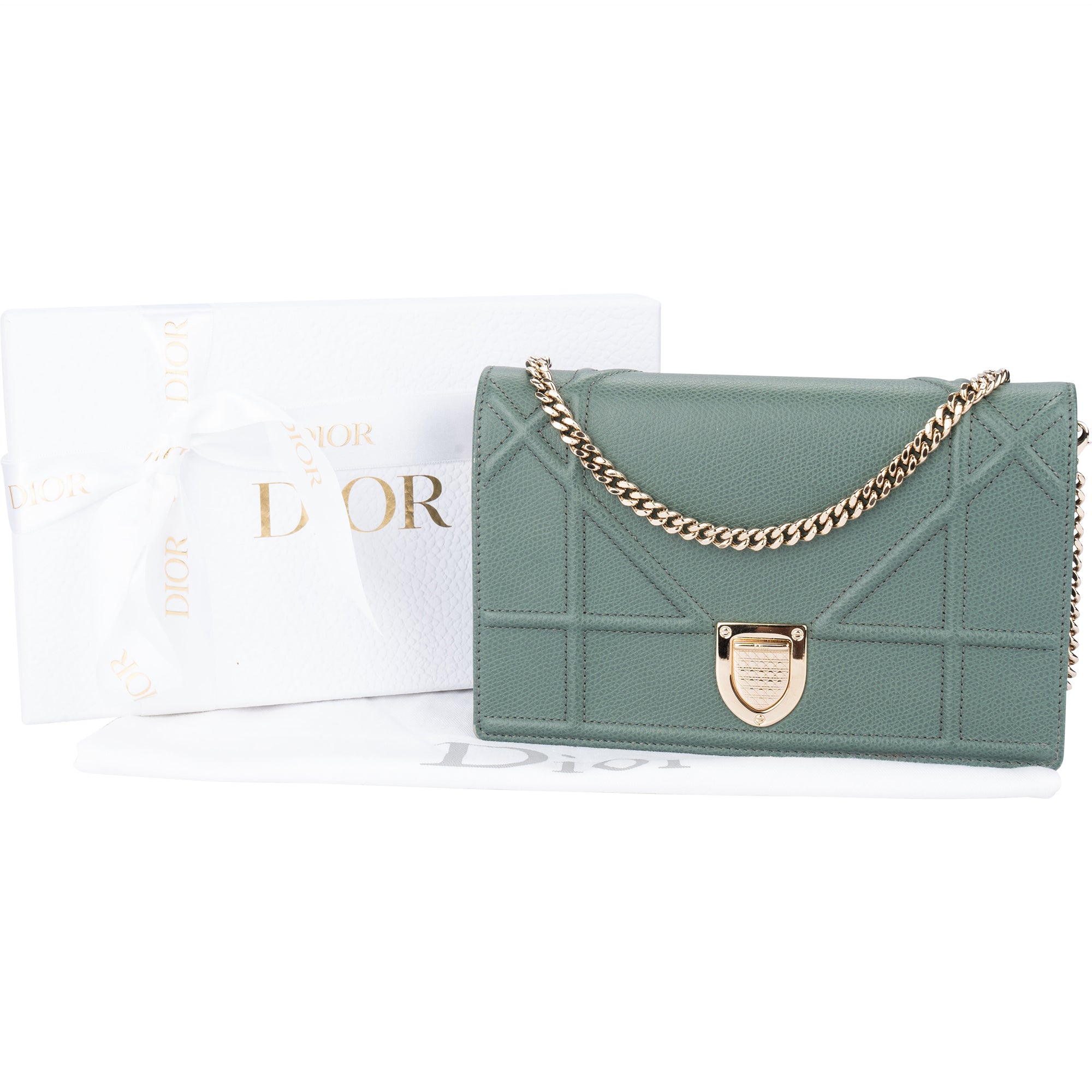 Christian Dior Diorama Wallet On Chain Crossbody Bag