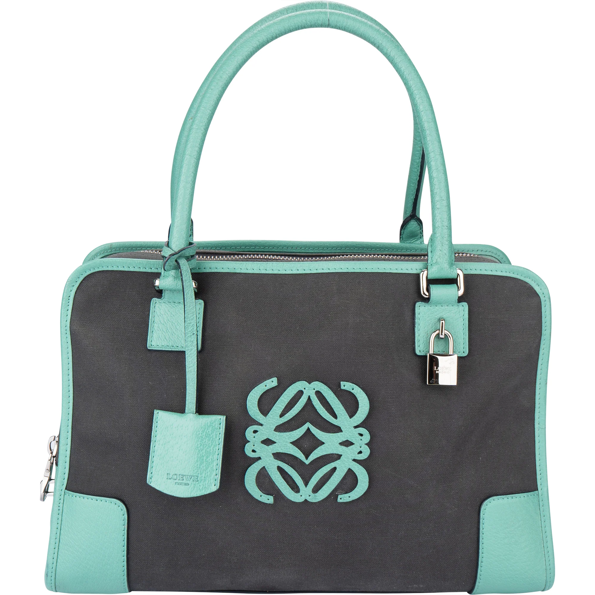 Loewe Bicolor Amazona Handbag