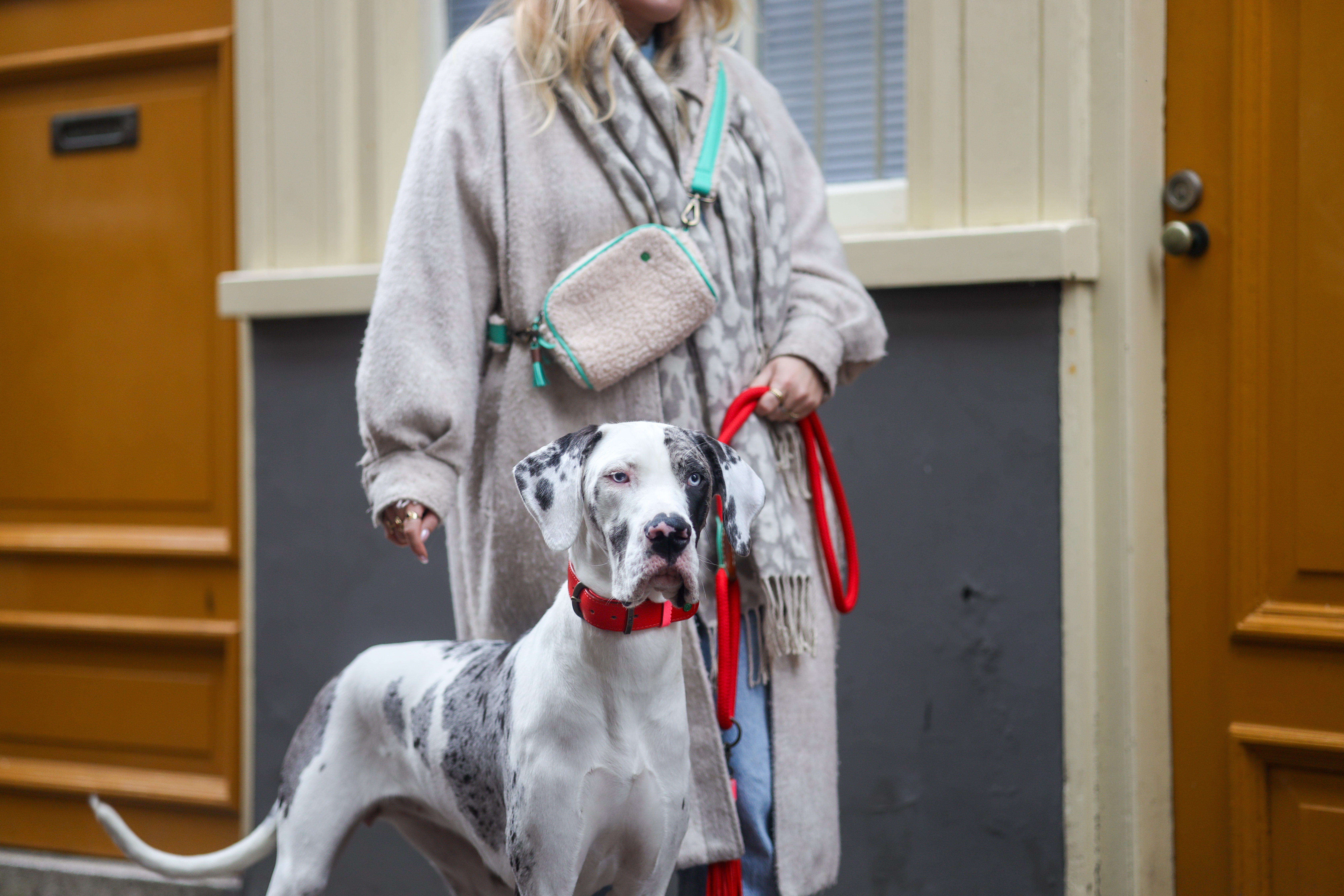 Walk the dog crossbody bag