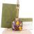 Gucci Monogram GG Supreme Flora AirPods Case