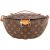 Louis Vuitton Monogram Canvas Bumbag Crossbody Bag