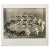 M.C. Escher  - Rencontre