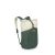 Arcane Roll Top Pack - Earth Moon Beige-Pine Leaf