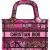 Christian Dior Oblique Monogram Micro Book Tote Handbag