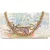 Gucci Tiger Print Horsebit 1955 Chain Wallet on Chain Crossbody Bag
