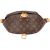 Louis Vuitton Monogram Canvas Crossbody Bumbag