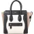 Céline Grained Tricolor Leather Luggage Handbag